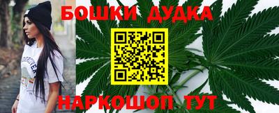 стаф Гай