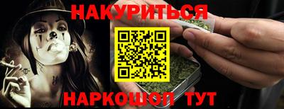 стаф Гай
