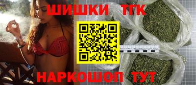МДПВ Гатчина