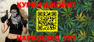 стаф Гай