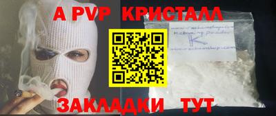 стаф Гай