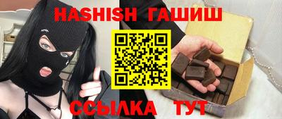 стаф Гай