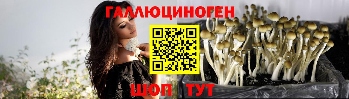 Псилоцибиновые грибы ЛСД  Псилоцибиновые грибы Cubensis  Новоалександровск  Вход с VPN 